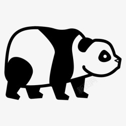 熊侧视图熊猫动物熊高清图片