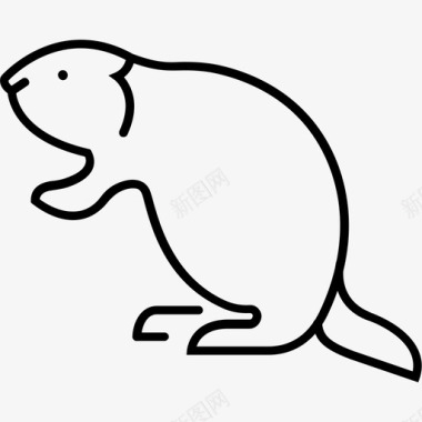 海狸动物毛皮图标