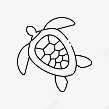 海龟海洋乌龟图标