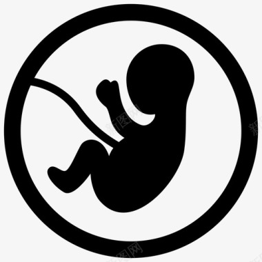 胎儿胚胎产科图标