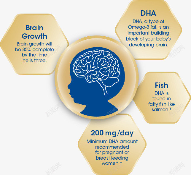 详情页DHA功效大脑结构图六边形备用Dpng免抠素材_新图网 https://ixintu.com 详情 功效 大脑 结构图 六边形 备用
