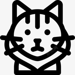 缅因浣熊缅因州浣熊品种猫高清图片