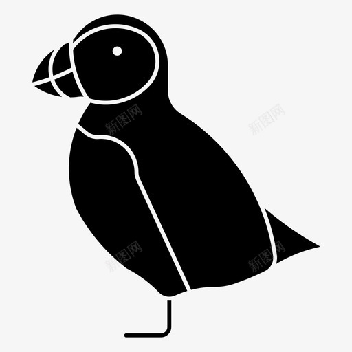 海雀大西洋鸟类svg_新图网 https://ixintu.com 大西洋 鸟类 冰岛 海鸟 动物