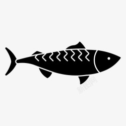 鲭鱼鲭鱼蓝鳍鱼罐装高清图片