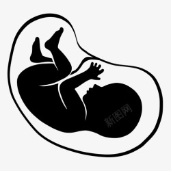 胎盘婴儿胚胎胎儿胎盘高清图片