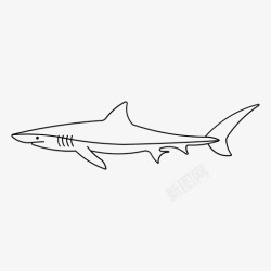 蓝鲨蓝鲨海洋捕食者高清图片