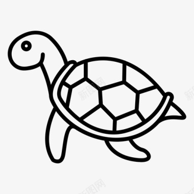 海龟水生动物宠物图标