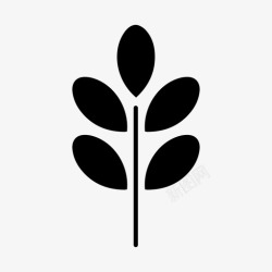 油茶标志辣木植物学枝高清图片