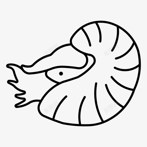 鹦鹉螺动物海svg_新图网 https://ixintu.com 鹦鹉 动物海 贝壳
