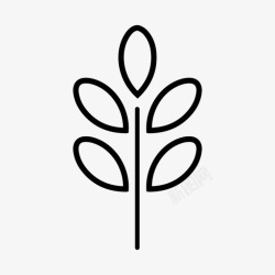 油茶标志辣木植物学枝高清图片