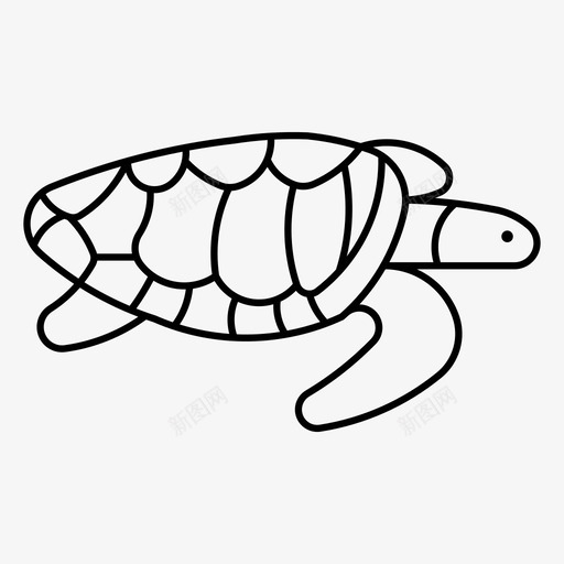 红海龟动物乌龟svg_新图网 https://ixintu.com 海龟 红海 动物 乌龟 野生