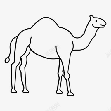 骆驼羊驼蹄图标