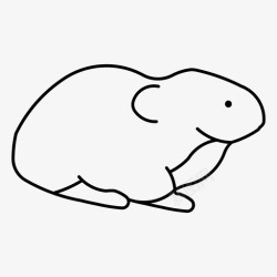 柯尼鼠兔动物柯尼高清图片