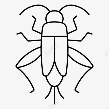 蟋蟀虫子龟甲图标