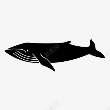 座头鲸动物野生图标