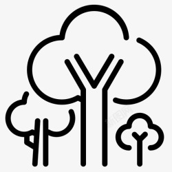 树木学树木植物生态学高清图片