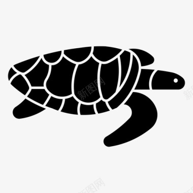 红海龟动物乌龟图标