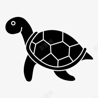 海龟水生动物宠物图标
