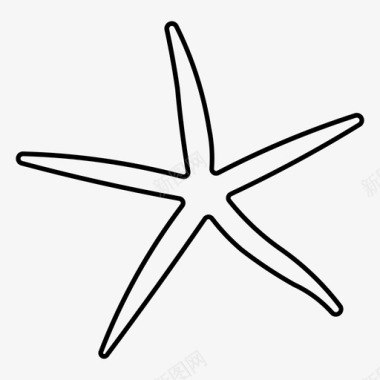 脆星棘皮动物海洋图标
