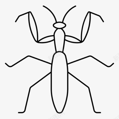 螳螂昆虫动物图标