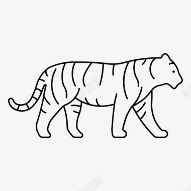 老虎动物孟加拉虎图标