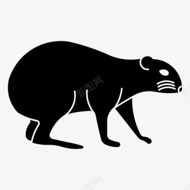 刺猬动物哺乳动物图标