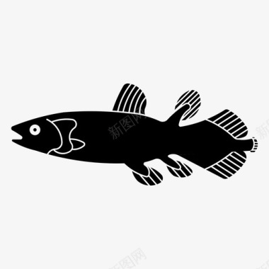 腔棘鱼动物鱼图标