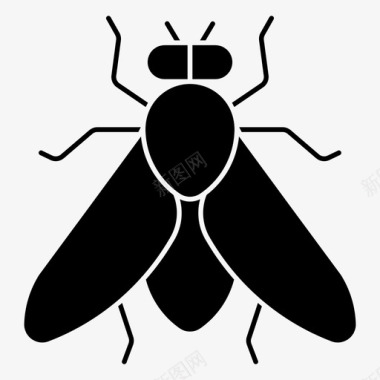 家蝇虫子昆虫图标