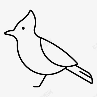 蓝鸦动物鸟图标