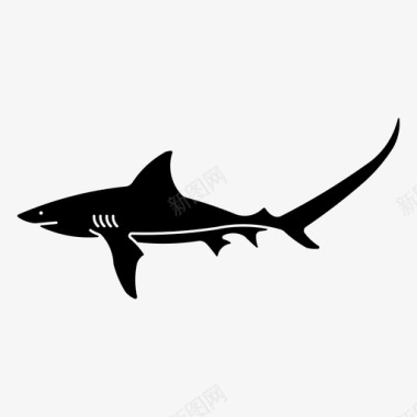 脱粒鲨动物鱼图标