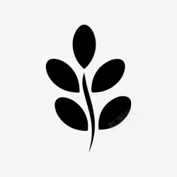 油茶标志辣木枝叶高清图片