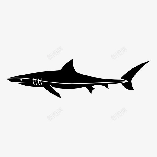 蓝鲨海洋捕食者svg_新图网 https://ixintu.com 蓝鲨 海洋 捕食 食者 动物