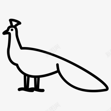 孔雀动物鸟图标