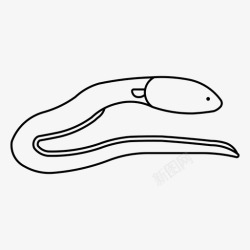 鳗鲡电鳗海鳗鳗鲡类高清图片