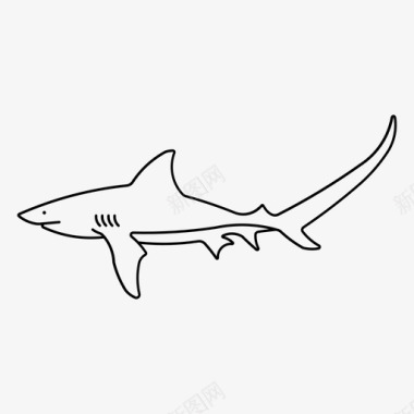 脱粒鲨动物鱼图标