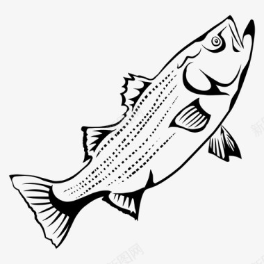 条纹鲈鱼钓鱼鲑鱼图标