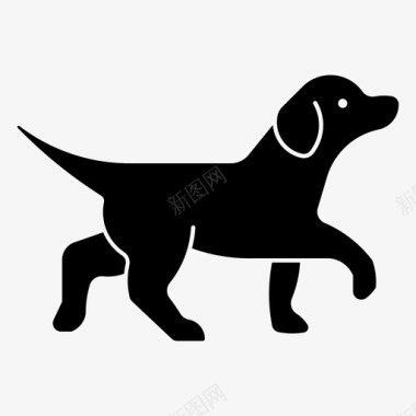 拉布拉多猎犬动物犬科图标
