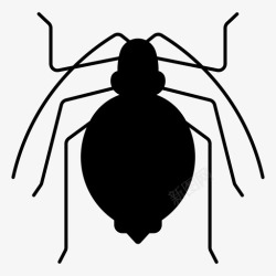 蚜虫蚜虫刺客虫子高清图片