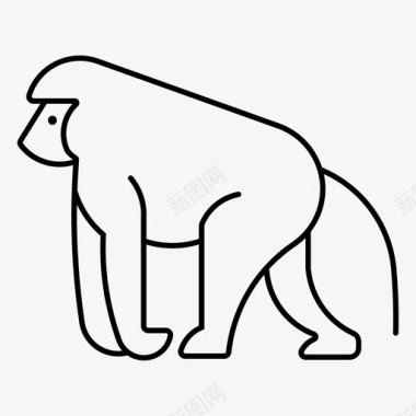狒狒猿黑猩猩图标