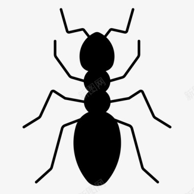 蚂蚁甲虫虫子图标