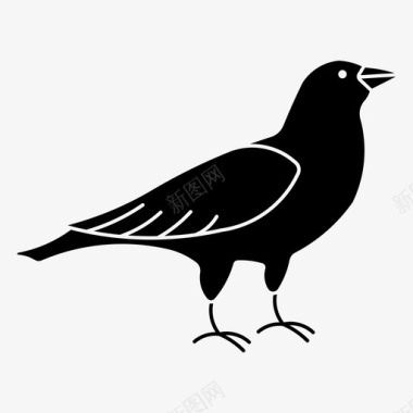 乌鸦鸟黑鸟图标