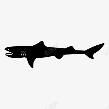 巨嘴鲨动物海洋图标