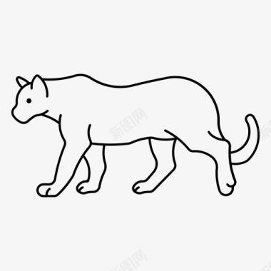 美洲狮美洲豹动物图标
