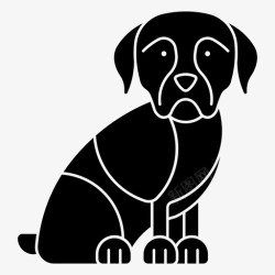 罗特韦罗特韦尔犬动物宽度高清图片