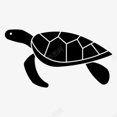 彩绘龟加拉帕戈斯乌龟图标