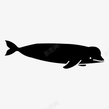 白鲸鱼哺乳动物图标