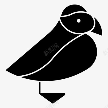 大西洋海雀海雀鸟图标