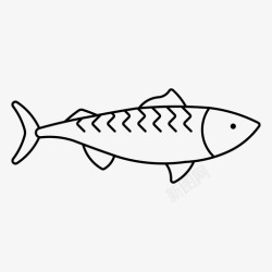 鲭鱼鲭鱼蓝鳍鱼罐装高清图片