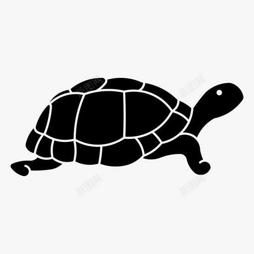 沙漠龟加拉帕戈斯群岛宠物svg_新图网 https://ixintu.com 沙漠 龟加 拉帕 戈斯 群岛 宠物 海龟 动物