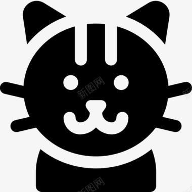 欧洲短毛品种猫图标